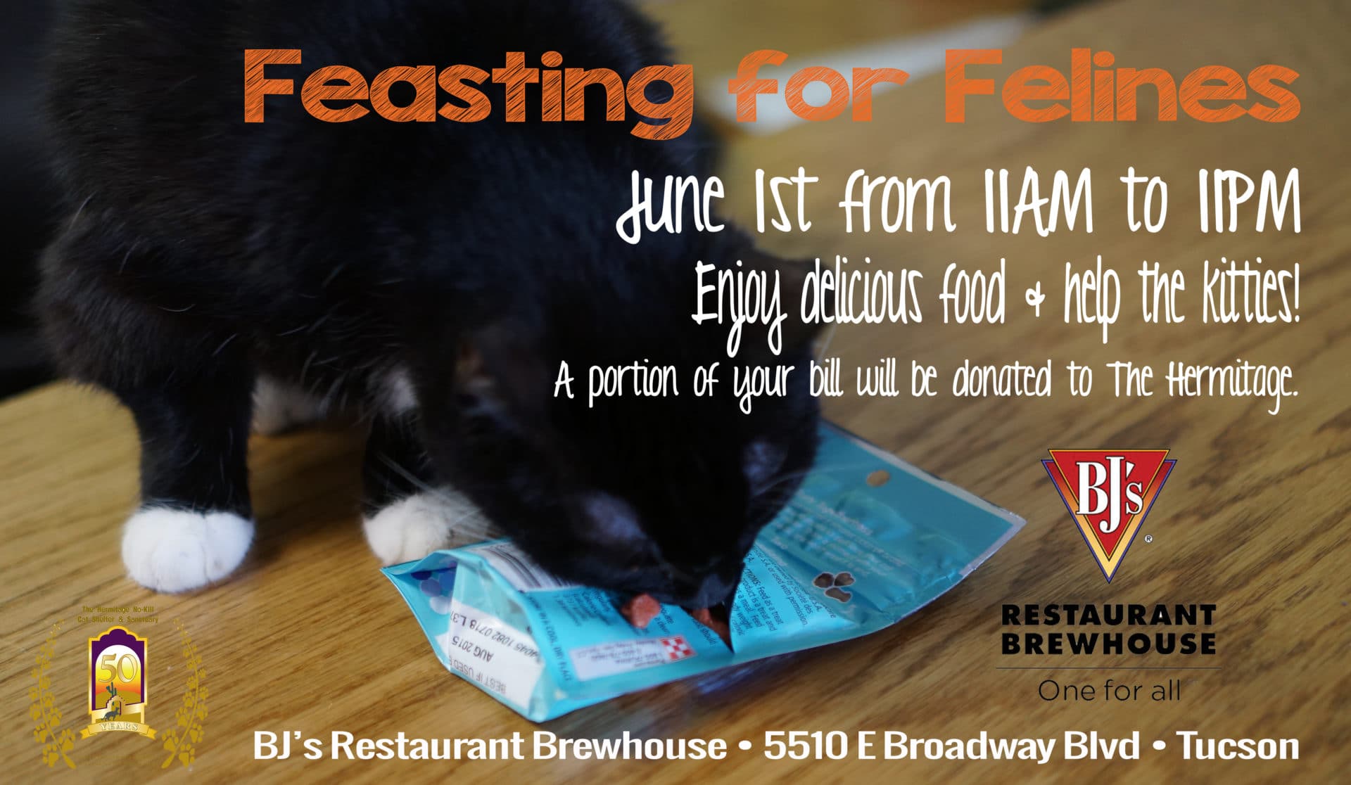 Feasting4FelinesBJs Hermitage Cat Shelter